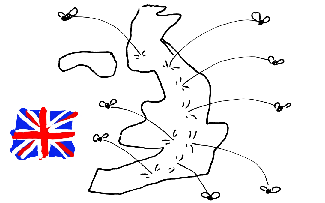 Las moscas huyen de Reino Unido, el país de las ratas