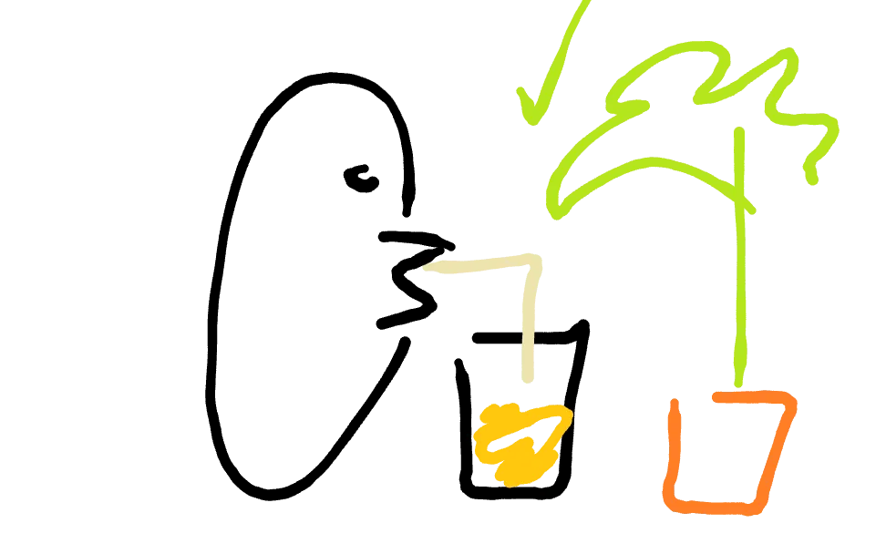 Beber aceite, lo mejor para tu planta